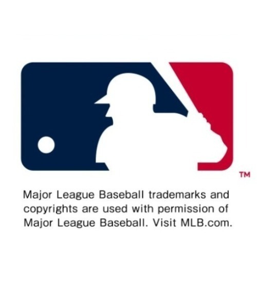 IEDIT(イディット)の「IEDIT オリジナルMLBデザインクーパーズタウンコレクション 往年のロゴを楽しむニットカーディガン(カーディガン/ボレロ・レディース・ダークブラウン/チャコール/ライトグレー・M/3L/LL/L/S)」の14枚目の写真