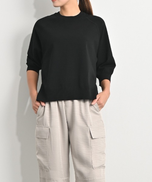 aunt lily(アントリリー)の「上質アセテートブレンド プレミアムニット ラグラン半袖プルオーバー(Tシャツ/カットソー・レディース・ブラック・LL/M/L)」の1枚目の写真