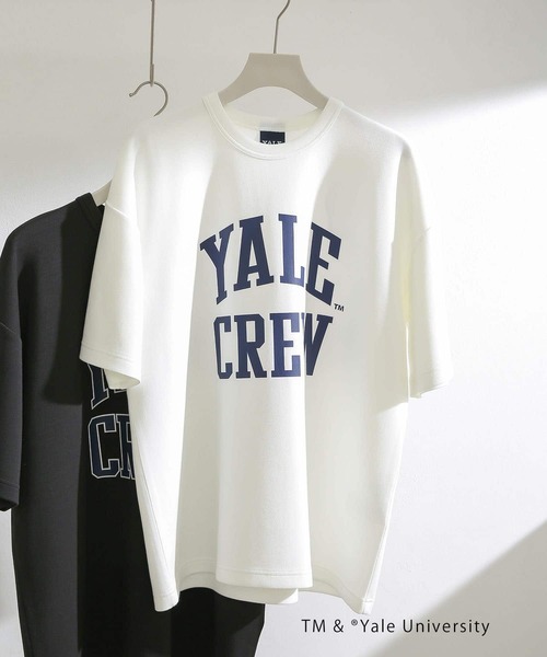 SENSE OF PLACE by URBAN RESEARCH（センスオブプレイスバイアーバンリサーチ）の「『別注』『ユニセックス』YALE×SENSE OF PLACE カレッジロゴTシャツ C（Tシャツ/カットソー・メンズ・ブラック/ライトブルー/ライトベージュ/ホワイト・LARGE/MEDIUM）」の9枚目の写真