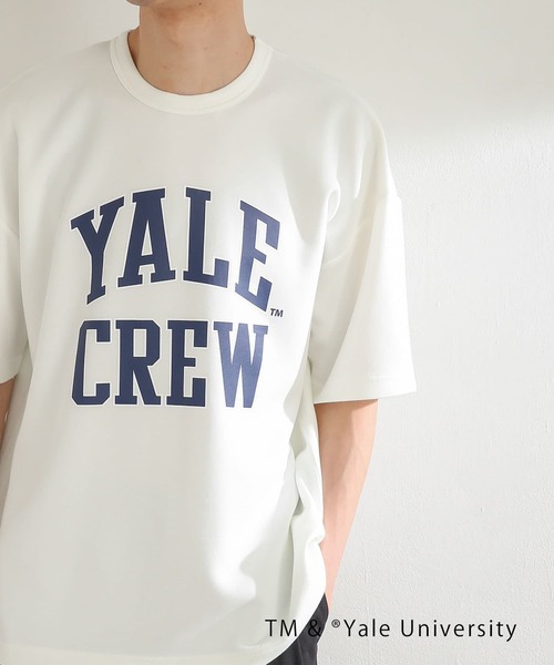SENSE OF PLACE by URBAN RESEARCH（センスオブプレイスバイアーバンリサーチ）の「『別注』『ユニセックス』YALE×SENSE OF PLACE カレッジロゴTシャツ C（Tシャツ/カットソー・メンズ・ブラック/ライトブルー/ライトベージュ/ホワイト・LARGE/MEDIUM）」の15枚目の写真