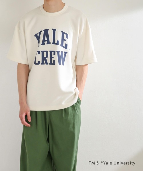 SENSE OF PLACE by URBAN RESEARCH（センスオブプレイスバイアーバンリサーチ）の「『別注』『ユニセックス』YALE×SENSE OF PLACE カレッジロゴTシャツ C（Tシャツ/カットソー・メンズ・ブラック/ライトブルー/ライトベージュ/ホワイト・LARGE/MEDIUM）」の22枚目の写真