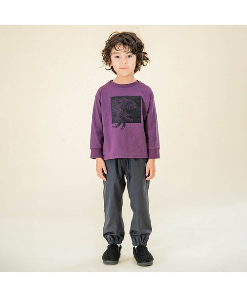 F.O.KIDS(エフオーキッズ)の「ALLOSAURUS BOX TEE(Tシャツ/カットソー・キッズ・ベージュ/パープル/チャコール・140/120/80/130/95/90/100/110)」の4枚目の写真