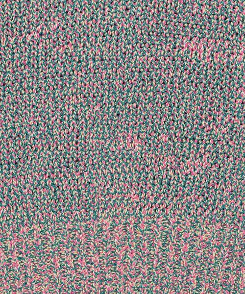 H BEAUTY&YOUTH UNITED ARROWS(エイチビューティーアンドユースユナイテッドアローズ)の「<H>MULTI COLOR VEST/ベスト(ベスト・レディース・ピンク/ロイヤルブルー・FREE)」の11枚目の写真