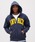 AVIREX�i�A���B���b�N�X�j�́u�sDAILY/�f�C���[�tZIP UP SWEAT PARKA LOGO / �W�b�v�A�b�v �X�E�F�b�g �p�[�J�[ ���S / AVIREX / �A���B���b�N�X�i�p�[�J�[�j�v�b�l�C�r�[