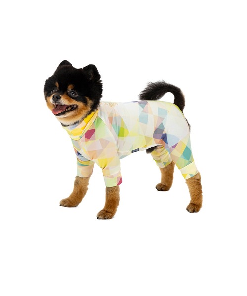 犬まんま mb29_2025_15.jpg