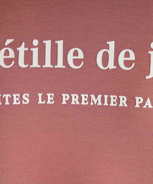 DRESKIP（ドレスキップ）の「◆【S-LL】もちさら フロッキーロゴプリントスウェット（スウェット・レディース・ベージュ/ライトグレー/レンガ/チャコールグレー・01/02/03/04）」の19枚目の写真