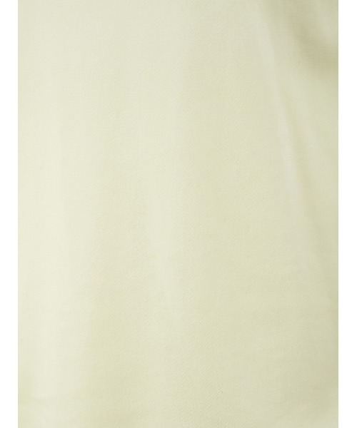 Mila Owen（ミラオーウェン）の「【セットアップ対応】フロッキーベロアボートネックトップス（Tシャツ/カットソー・レディース・チャコールグレー/ベージュ/ライム・0/1）」の17枚目の写真