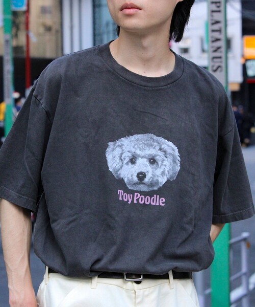 GLOSTER(グロスター)の「【新柄追加】【GLOSTER/グロスター】DOG&CAT 犬猫プリント ピグメント プリントTシャツ(Tシャツ/カットソー・メンズ・ブラック系その他/ブラック系その他3/ブラック系その他4/ブラック系その他5/ブラック系その他2/ブラック/ブラック系その他6/ブラック系その他7・S/M/L)」の5枚目の写真