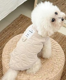 Dalfwin(_[tB)̃ybgEFA comext{AȃLeBOxXg(ybgEFA)