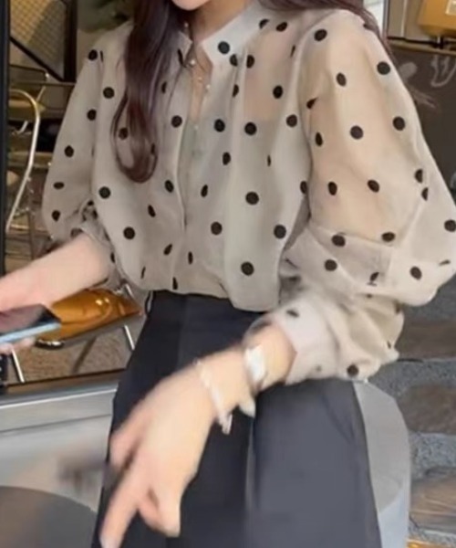 ampm(エーエムピーエム)の「ドット柄 シアーブラウス シフォンブラウス ボリュームスリーブ(シャツ/ブラウス・レディース・ブラウン・FREE)」の10枚目の写真
