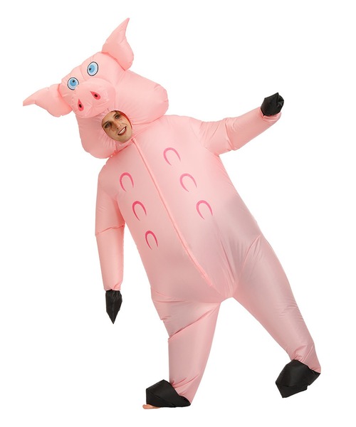 希少⭐︎スプリングインブルームコスチューム5点まとめ売り台紙付き ブルーコスチューム ※新生児用 | ニューボーンフォトレンタル Conon