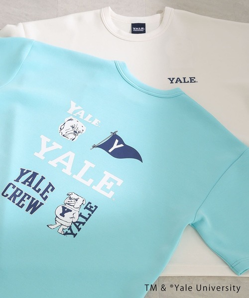 別注』『ユニセックス』YALE×SENSE OF PLACE カレッジロゴTシャツ D(T 別注』『ユニセックス』YALE×SENSE OF PLACE カレッジロゴTシャツ D(T