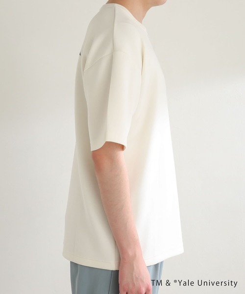 SENSE OF PLACE by URBAN RESEARCH(センスオブプレイスバイアーバンリサーチ)の「『別注』『ユニセックス』YALE×SENSE OF PLACE カレッジロゴTシャツ D(Tシャツ/カットソー・メンズ・ライトベージュ/ホワイト/ライトブルー/ブラック・LARGE/MEDIUM)」の9枚目の写真
