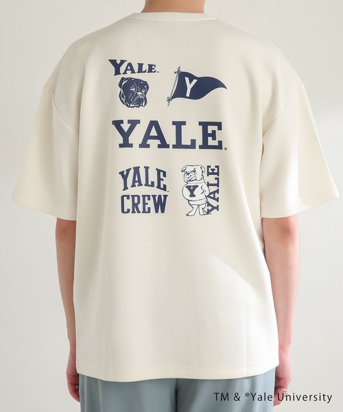 SENSE OF PLACE by URBAN RESEARCH(センスオブプレイスバイアーバンリサーチ)の「『別注』『ユニセックス』YALE×SENSE OF PLACE カレッジロゴTシャツ D(Tシャツ/カットソー・メンズ・ライトベージュ/ホワイト/ライトブルー/ブラック・LARGE/MEDIUM)」の10枚目の写真