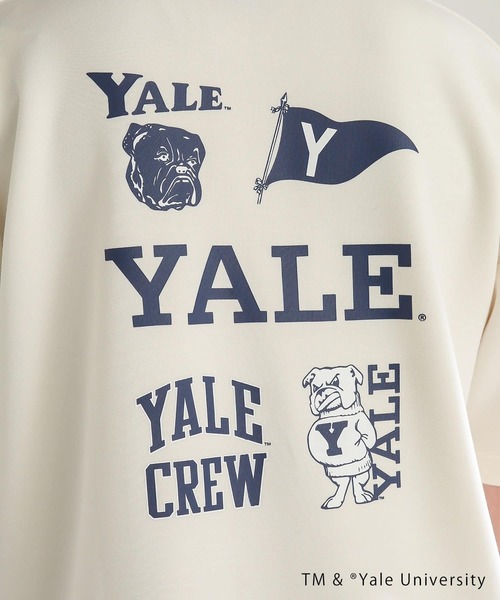 SENSE OF PLACE by URBAN RESEARCH(センスオブプレイスバイアーバンリサーチ)の「『別注』『ユニセックス』YALE×SENSE OF PLACE カレッジロゴTシャツ D(Tシャツ/カットソー・メンズ・ライトベージュ/ホワイト/ライトブルー/ブラック・LARGE/MEDIUM)」の12枚目の写真