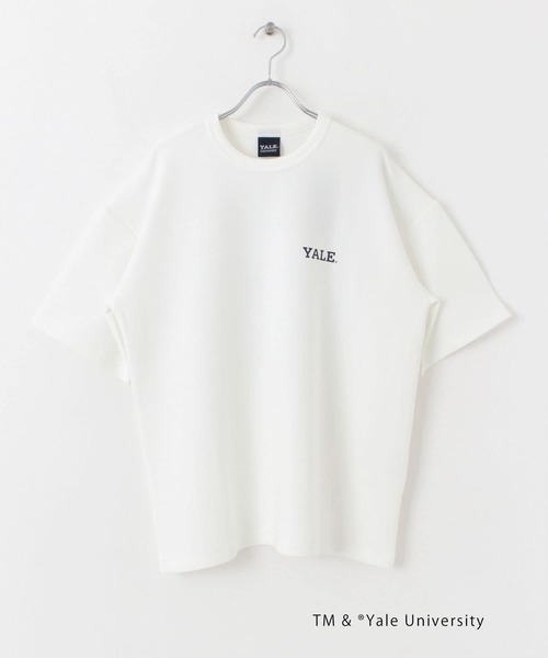 SENSE OF PLACE by URBAN RESEARCH(センスオブプレイスバイアーバンリサーチ)の「『別注』『ユニセックス』YALE×SENSE OF PLACE カレッジロゴTシャツ D(Tシャツ/カットソー・メンズ・ライトベージュ/ホワイト/ライトブルー/ブラック・LARGE/MEDIUM)」の13枚目の写真