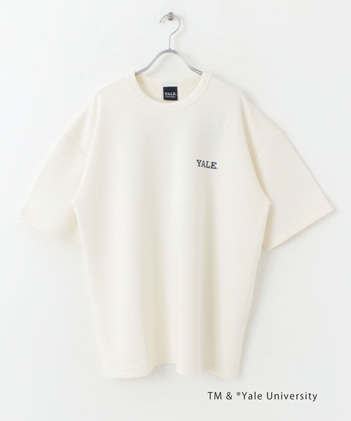 SENSE OF PLACE by URBAN RESEARCH(センスオブプレイスバイアーバンリサーチ)の「『別注』『ユニセックス』YALE×SENSE OF PLACE カレッジロゴTシャツ D(Tシャツ/カットソー・メンズ・ライトベージュ/ホワイト/ライトブルー/ブラック・LARGE/MEDIUM)」の15枚目の写真