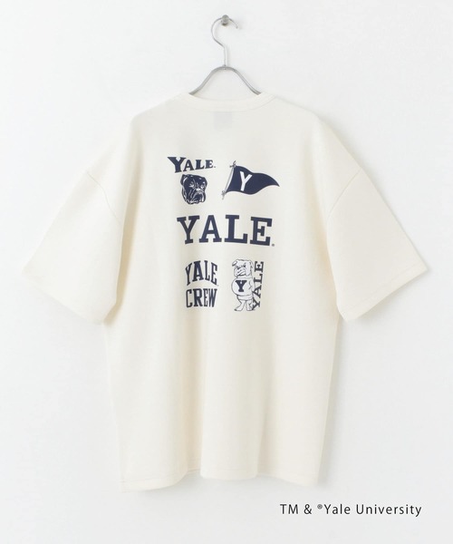 SENSE OF PLACE by URBAN RESEARCH(センスオブプレイスバイアーバンリサーチ)の「『別注』『ユニセックス』YALE×SENSE OF PLACE カレッジロゴTシャツ D(Tシャツ/カットソー・メンズ・ライトベージュ/ホワイト/ライトブルー/ブラック・LARGE/MEDIUM)」の16枚目の写真