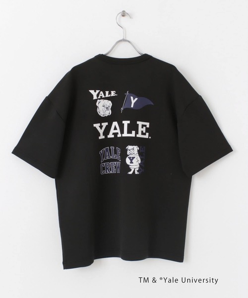 SENSE OF PLACE by URBAN RESEARCH(センスオブプレイスバイアーバンリサーチ)の「『別注』『ユニセックス』YALE×SENSE OF PLACE カレッジロゴTシャツ D(Tシャツ/カットソー・メンズ・ライトベージュ/ホワイト/ライトブルー/ブラック・LARGE/MEDIUM)」の20枚目の写真