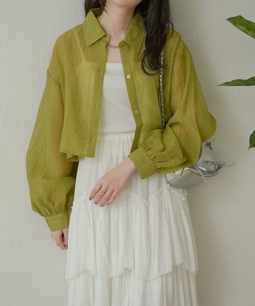 Ambre Neige(アンブルネージュ)の「ヨウリュウシアーブラウスWEB/EC限定商品(シャツ/ブラウス・レディース・ピンク/ライトグリーン/ブルー/オフホワイト・FREE)」の14枚目の写真