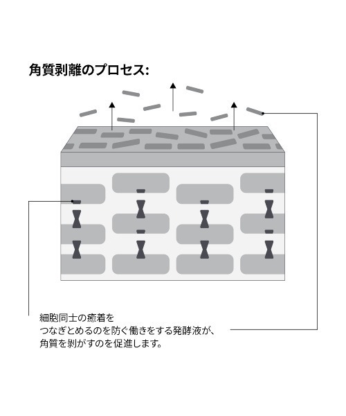 The Ordinary（オーディナリー）の「S ファーメント 30 ミルキートナー (サッカロミセス ファーメント*1 30% ミルキートナー)（化粧水・レディース・その他・FREE）」の6枚目の写真