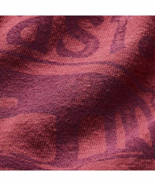 MEDE19F(メデジュウキュウ)の「MEDE19F VOLKS WAGEN for MEDE19F 洗いをかけたくったりTシャツ(Tシャツ/カットソー・レディース・バーガンディー/ブルー・L/M/LL)」の21枚目の写真
