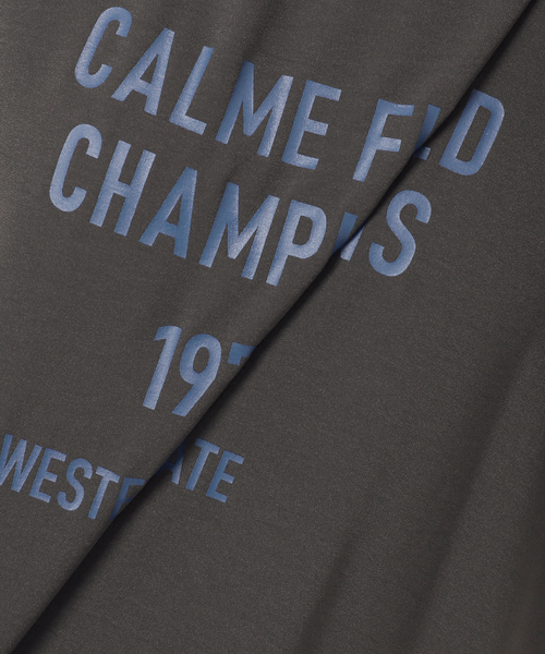 JOURNAL STANDARD relume（ジャーナルスタンダード　レリューム）の「《追加》2WAYジョーゼットロゴTEE（Tシャツ/カットソー・レディース・ダークブルー/ホワイト系その他/ブラウン/スミクロ・FREE）」の13枚目の写真