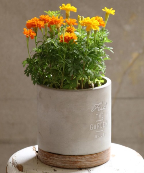 セメント製ストライププランター 直径30cm セメント植木鉢 - 鉢 セメント製ストライププランター 直径30cm セメント植木鉢 - 鉢