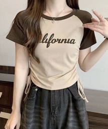 Sibra(Vu)̃OX[uMU[TVc(TVc/Jbg\[)