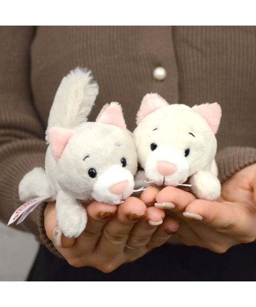楽天市場】【日本正規代理店】NICI(ニキ) マグ ラブキャット
