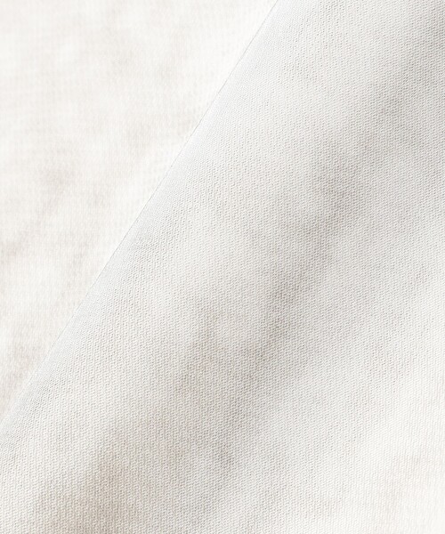 Ray BEAMS（レイビームス）の「RBS / サテン プリント ベルベット スカート（スカート・レディース・オフホワイト/ベージュ・0/1）」の11枚目の写真