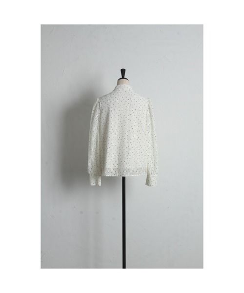 tocco closet(トッコ クローゼット)の「ボウタイリボン付きプチフリル装飾フラワーエンブロイダリー×ドットブラウス(シャツ/ブラウス・レディース・ライトブルー/オフホワイト・M)」の17枚目の写真