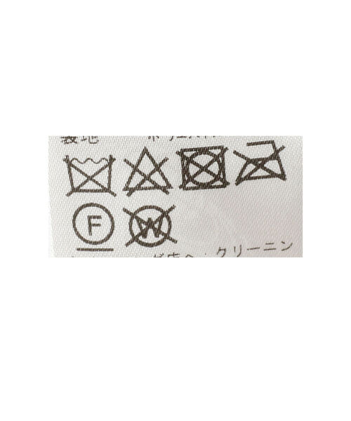 Ray BEAMS（レイビームス）の「Ray BEAMS / シアー ワッシャー プリーツ スカート（スカート・レディース・ブラック/ベージュ・ONE SIZE）」の20枚目の写真