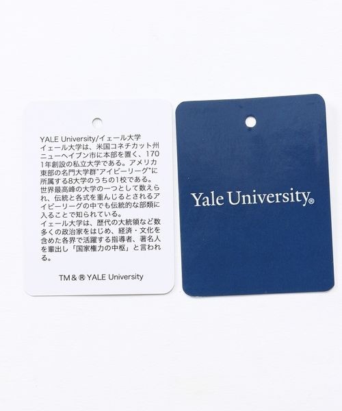 RAGEBLUE（レイジブルー）の「YALEコラボ/カレッジビッグスタジャン/260271（スタジャン・メンズ・パープル/オフホワイト・MEDIUM/LARGE）」の22枚目の写真