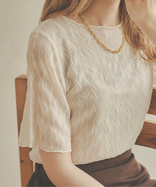 Ambre Neige(アンブルネージュ)の「シアーウェーブトップス/【WEB/EC限定商品】(Tシャツ/カットソー・レディース・ブラック/ダークブラウン/ベージュ/アイボリー・FREE)」の14枚目の写真