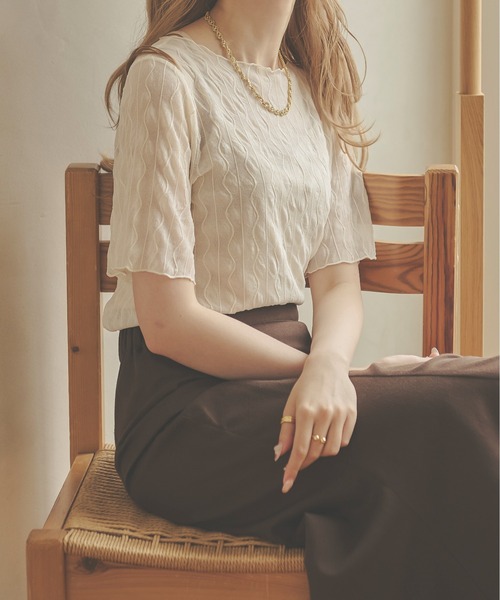 Ambre Neige(アンブルネージュ)の「シアーウェーブトップス/【WEB/EC限定商品】(Tシャツ/カットソー・レディース・ブラック/ダークブラウン/ベージュ/アイボリー・FREE)」の11枚目の写真