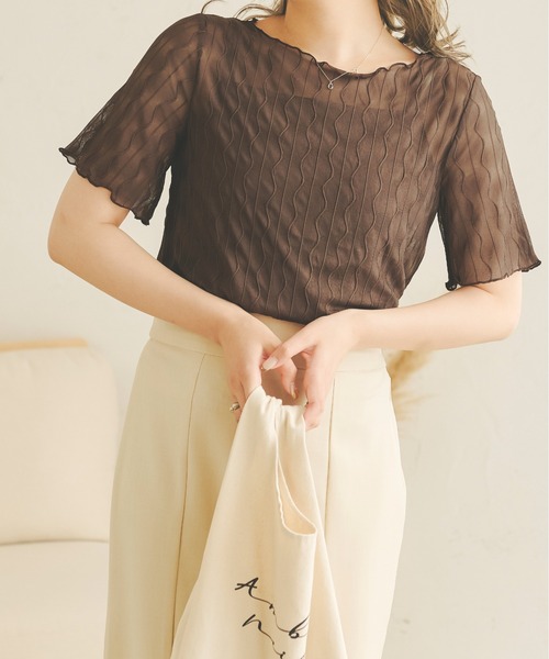 Ambre Neige(アンブルネージュ)の「シアーウェーブトップス/【WEB/EC限定商品】(Tシャツ/カットソー・レディース・ブラック/ダークブラウン/ベージュ/アイボリー・FREE)」の12枚目の写真