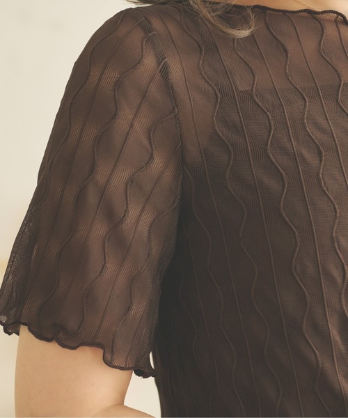 Ambre Neige(アンブルネージュ)の「シアーウェーブトップス/【WEB/EC限定商品】(Tシャツ/カットソー・レディース・ブラック/ダークブラウン/ベージュ/アイボリー・FREE)」の17枚目の写真