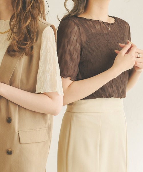 Ambre Neige(アンブルネージュ)の「シアーウェーブトップス/【WEB/EC限定商品】(Tシャツ/カットソー・レディース・ブラック/ダークブラウン/ベージュ/アイボリー・FREE)」の5枚目の写真