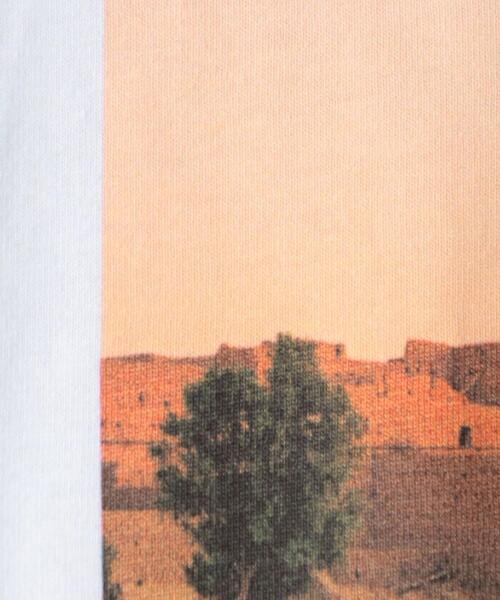 TRANSIT(トランジット)の「【別注】<TRANSIT>AIT ISFOUL TEE/Tシャツ(Tシャツ/カットソー・レディース・ホワイト・FREE)」の15枚目の写真