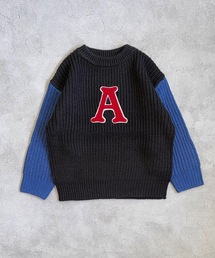 BIG FIELD | 【おうちで洗えるニット】サガラワッペンリブセーター（kids/XS～LL）(ニット/セーター)