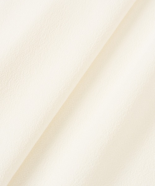 ANAYI（アナイ）の「ジョーゼット配色タイ ブラウス（シャツ/ブラウス