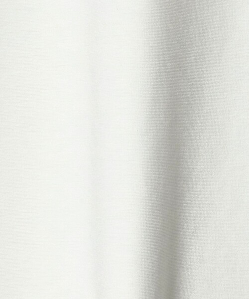 A DAY IN THE LIFE UNITED ARROWS(アデイインザライフユナイテッドアローズ)の「シャイニー ポンチ ジャスト カットソー<A DAY IN THE LIFE>(Tシャツ/カットソー・メンズ・ブラック/ホワイト/ロイヤルブルー・S/M/L)」の20枚目の写真