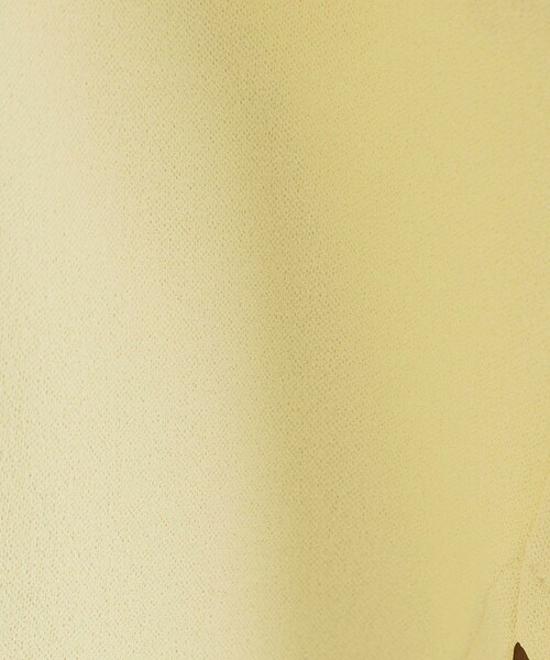 OPAQUE.CLIP(オペークドットクリップ)の「【UV/吸水速乾】リラクシードルマントップス/セットアップ対応可《洗濯機OK》(Tシャツ/カットソー・レディース・ダークブラウン/イエロー系その他/ブラック/チャコールグレー・42/40/38/36)」の16枚目の写真