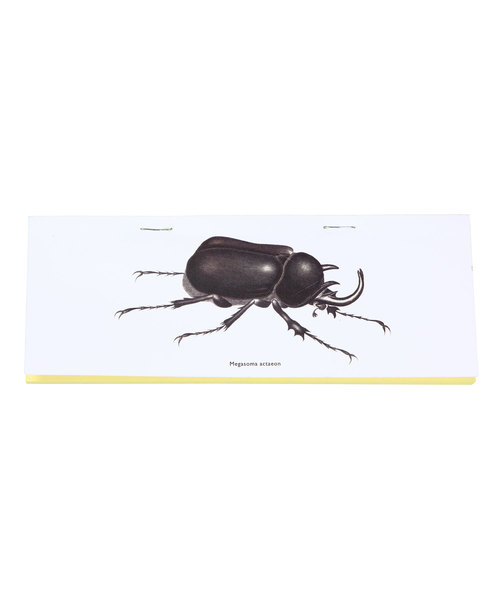 PUEBCO(プエブコ)の「STAPLED NOTE Beetle(手帳/メモ帳)」|その他1