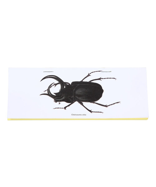 PUEBCO(プエブコ)の「STAPLED NOTE Beetle(手帳/メモ帳)」|その他2