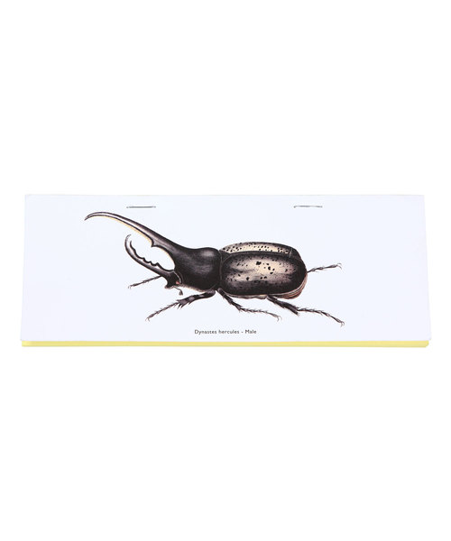 PUEBCO(プエブコ)の「STAPLED NOTE Beetle(手帳/メモ帳)」|その他3