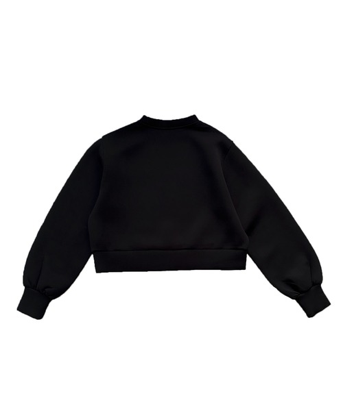 Avvenente(アベネンテ)の「【Avvenente】ボンディングプルオーバー(スウェット・レディース・ブラック/オフホワイト・M)」の12枚目の写真