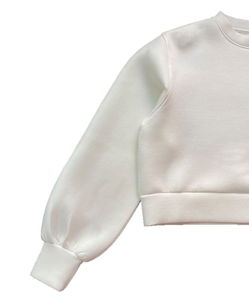 Avvenente(アベネンテ)の「【Avvenente】ボンディングプルオーバー(スウェット・レディース・ブラック/オフホワイト・M)」の16枚目の写真