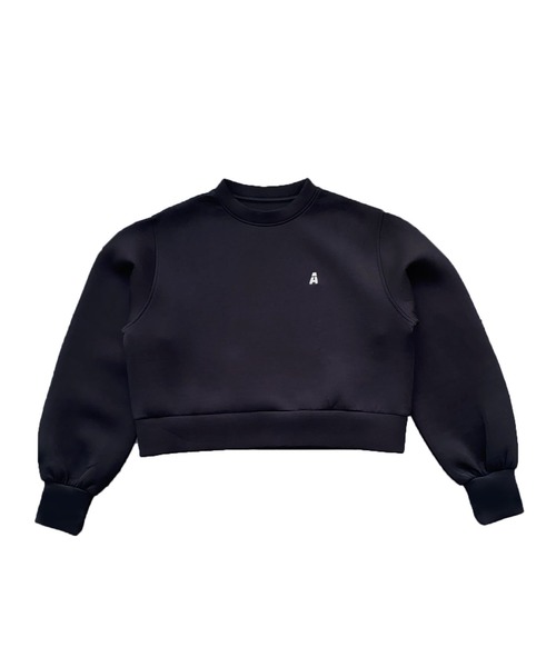 Avvenente(アベネンテ)の「【Avvenente】ボンディングプルオーバー(スウェット・レディース・ブラック/オフホワイト・M)」の10枚目の写真